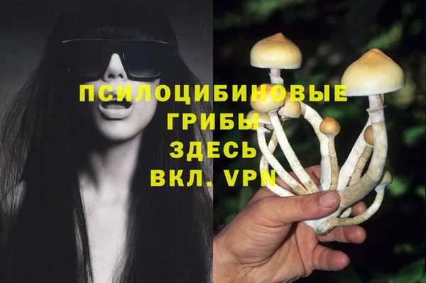 COCAINE Арсеньев